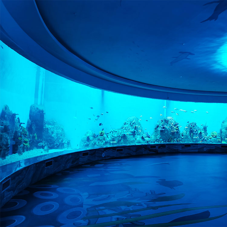 Le Yu Acrílico Factory leva você para explorar o oceanário Sea World - Leyu