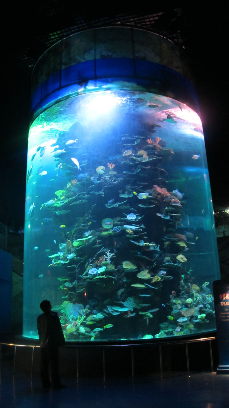 Mundo Subaquático de Shandong Penglai - Leyu Arylic Aquarim