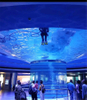 Oceanário de Lisboa explore o oceanário mundial A fábrica Leyu Acrílico Aquarium é especializada na construção de oceanários. -Leyu