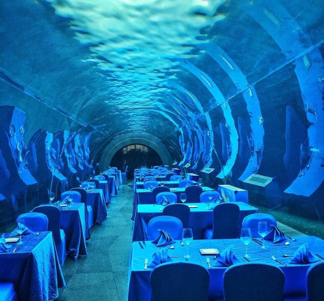 Um restaurante com água de acrílico pode ser construído debaixo d'água - Piscinas de acrílico Leyu à venda