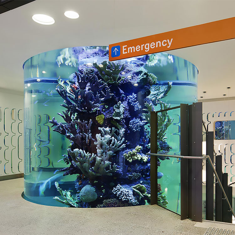 Aquários comerciais de acrílico para peixes produzidos por fábrica profissional - Leyu 