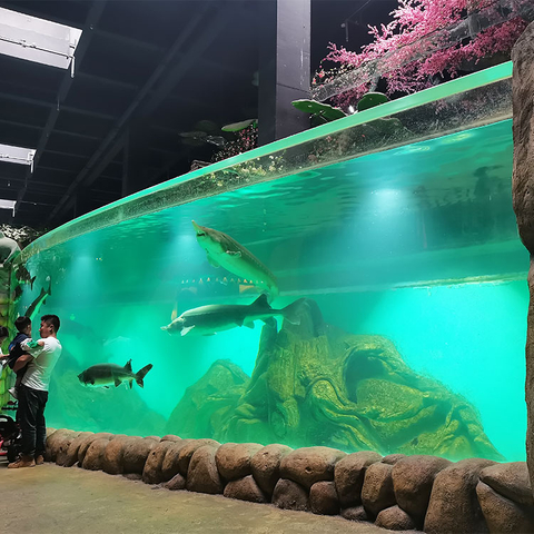 O oceanário é popular entre os turistas na fábrica de produtos de chapa acrílica de Chicago-Leyu