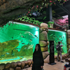 Le Yu Acrílico Factory leva você para explorar o oceanário Sea World - Leyu