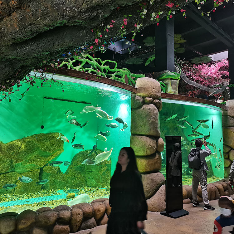 Le Yu Acrílico Factory leva você para explorar o oceanário Sea World - Leyu