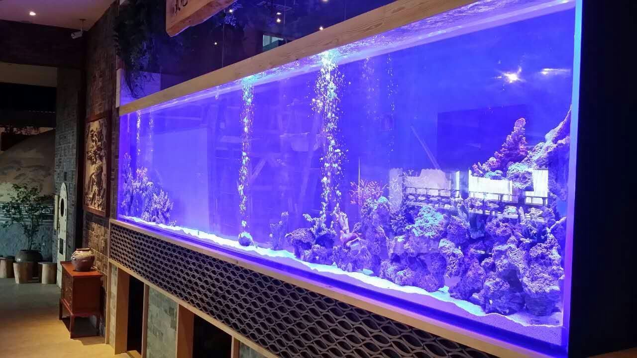 Qual a melhor forma de personalizar um aquário de acrílico transparente - Leyu 