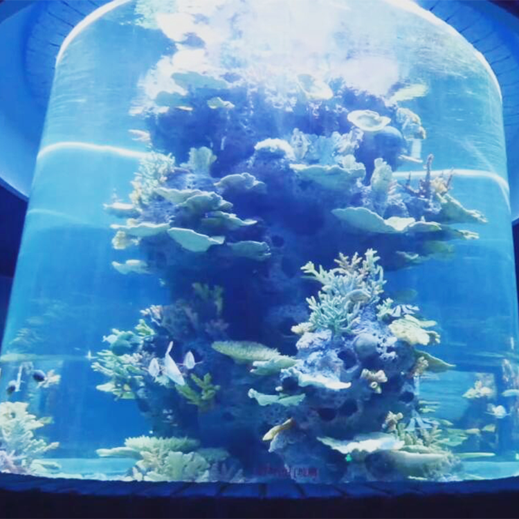 Grande redondo acrílico tubarão aquário livre tanque de peixes Leyu fábrica de acrílico personaliza para você - LEYU