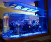A fábrica de acrílico Bullet Aquarium é especializada em produtos customizados com prazo de validade de 20 anos - LEYU