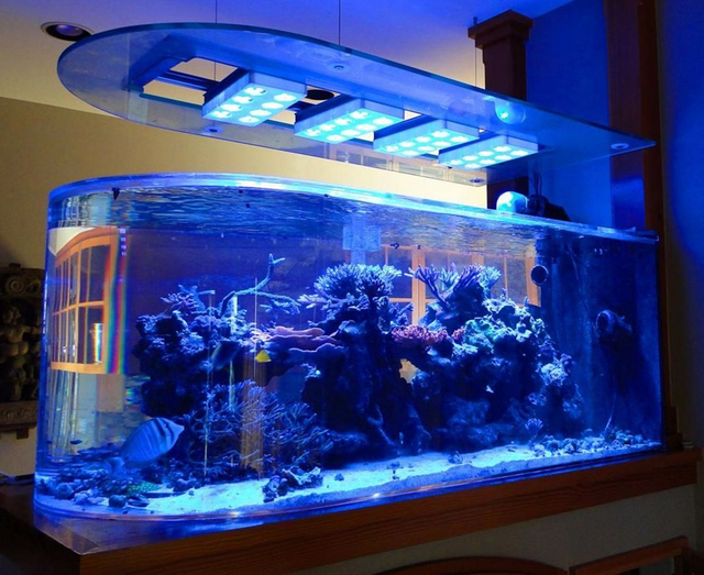 A fábrica de acrílico Bullet Aquarium é especializada em produtos customizados com prazo de validade de 20 anos - LEYU