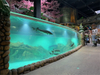 Como fazer a folha acrílica do aquário Leyu Aquarium fábrica profissional personalizada folha acrílica super grossa para aquário - Leyu
