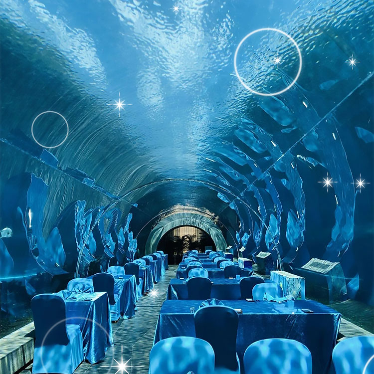 360 Aquarium Tunnel Polar Ocean World, Leyu personalizado profissional - Leyu