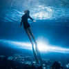 Leyu é especializada em fazer túneis de acrílico para aquários, como o túnel Aquarium Bangalore - LEYU