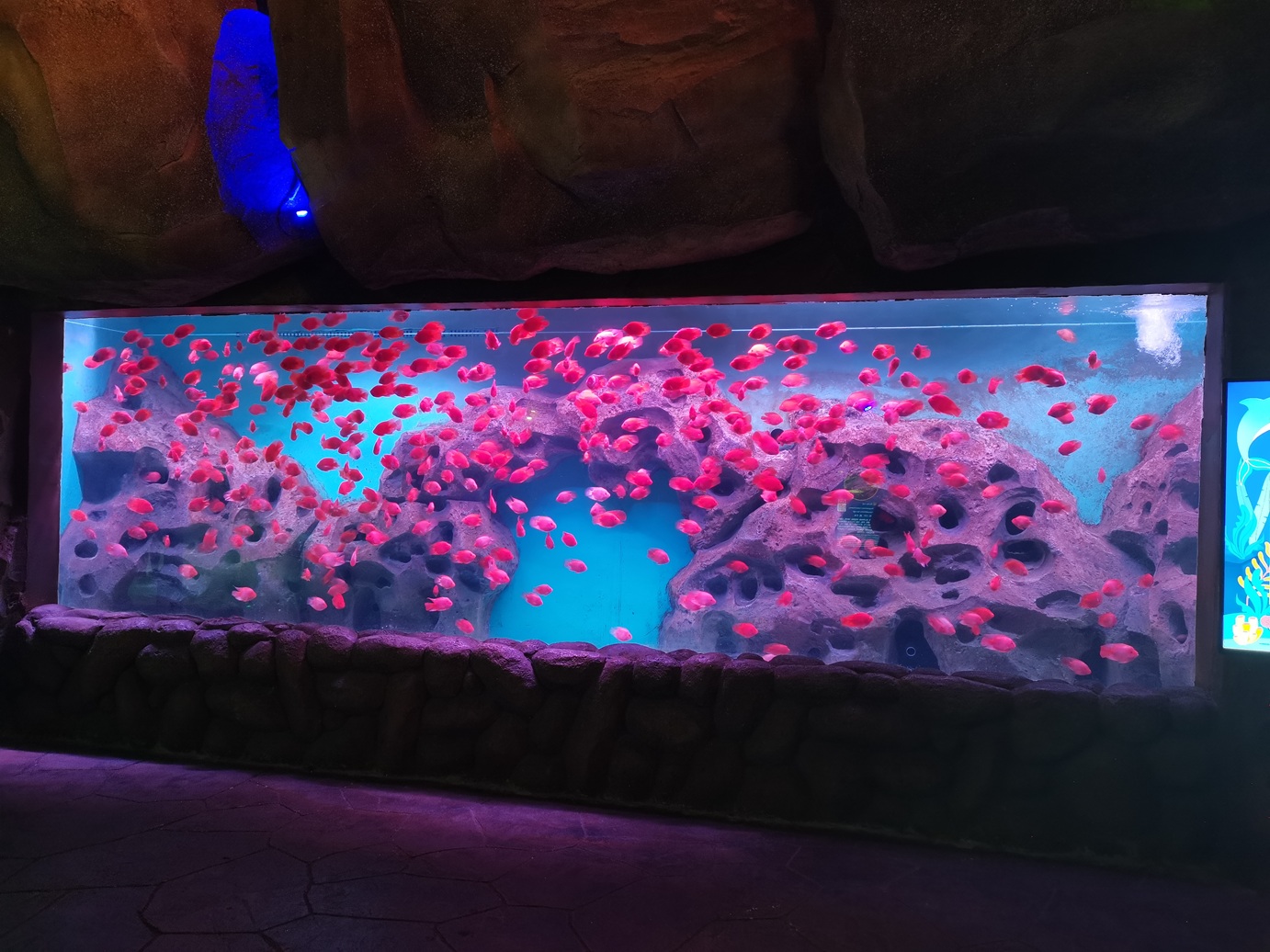 Leyu acrílico fornece grandes tanques de peixes de aquário de acrílico transparentes para venda - Leyu