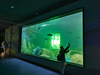 Le Yu Acrílico Factory leva você para explorar o oceanário Sea World - Leyu