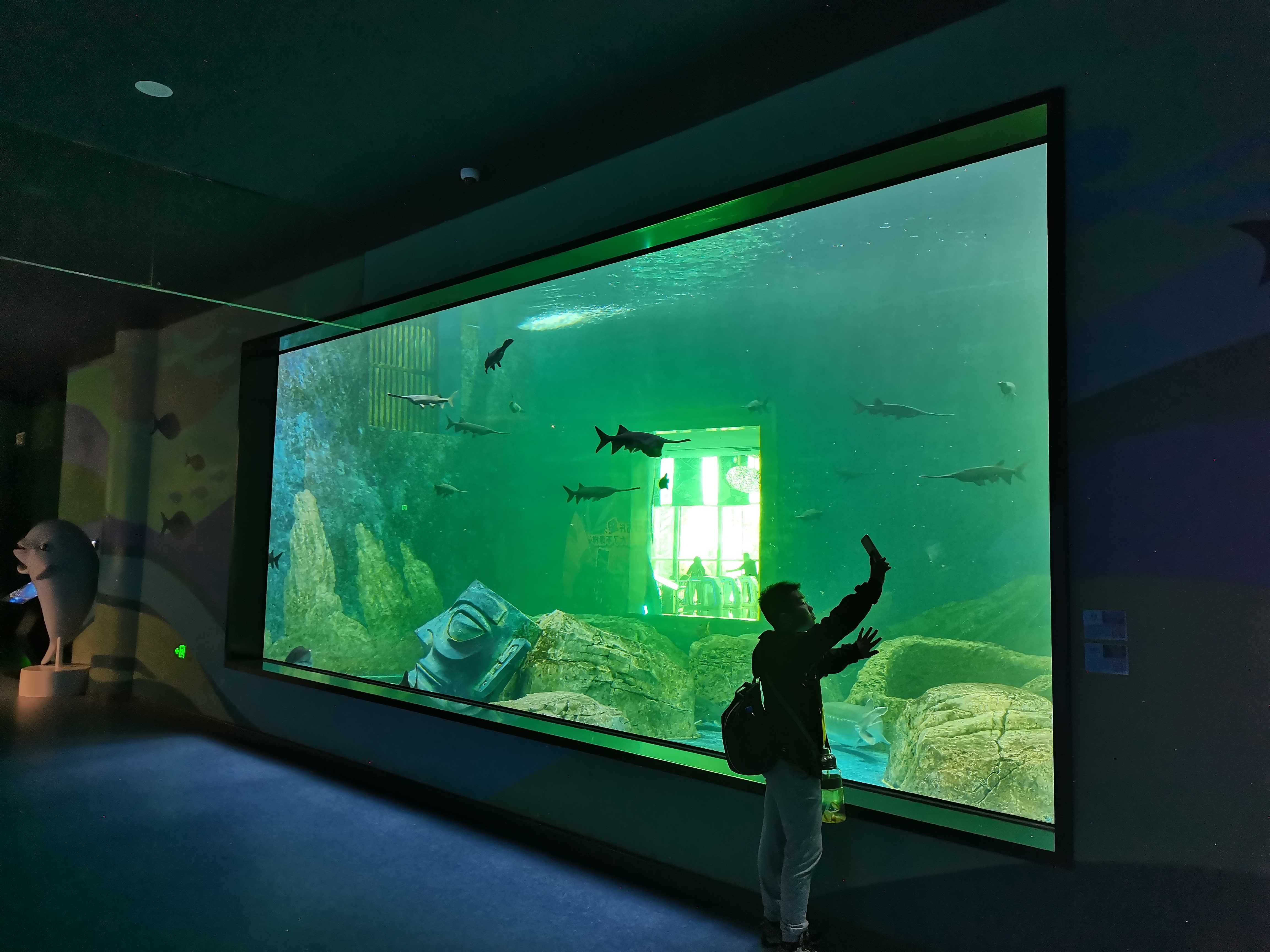 Le Yu Acrílico Factory leva você para explorar o oceanário Sea World - Leyu