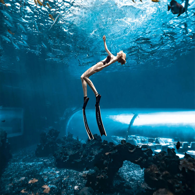 Aquário Túnel Aquário túnel subaquático - LEYU