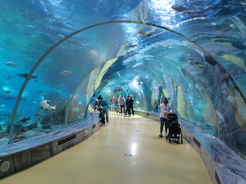 O aquário túnel perto de nós é feito de folhas de acrílico Leyu - Leyu 