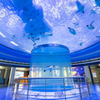 Painéis acrílicos curvos painéis curvos de plexiglass® Como dobrar chapas acrílicas - Leyu