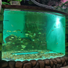 A fábrica chinesa é especializada em janelas de acrílico personalizadas para oceanário.- leyu 