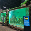  Oceanário lisboa oceanário perto de mim bar porto oceanário Leyu aquário acrílico fábrica personalização profissional - Leyu