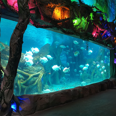 Painéis de aquário acrílicos personalizados de fábrica profissional de qualquer tamanho no parque oceânico - Leyu