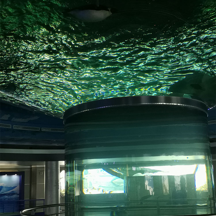 Grande redondo acrílico tubarão aquário livre tanque de peixes Leyu fábrica de acrílico personaliza para você - LEYU