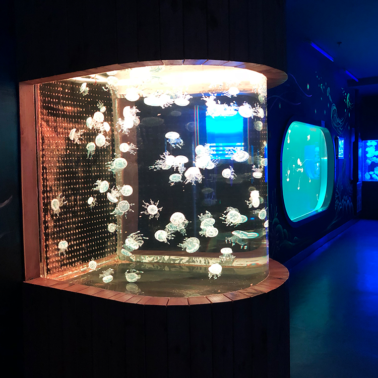 A fábrica de acrílico Bullet Aquarium é especializada em produtos customizados com prazo de validade de 20 anos - LEYU