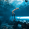 O lindo aquário grande túnel acrílico - Fábrica de produtos de folha acrílica Leyu