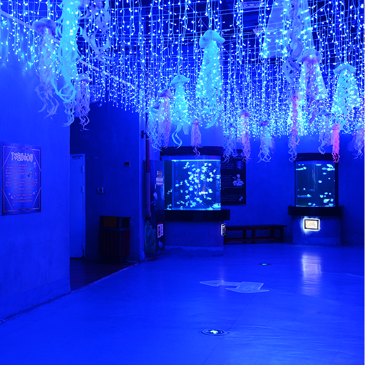 A fábrica de acrílico Bullet Aquarium é especializada em produtos customizados com prazo de validade de 20 anos - LEYU