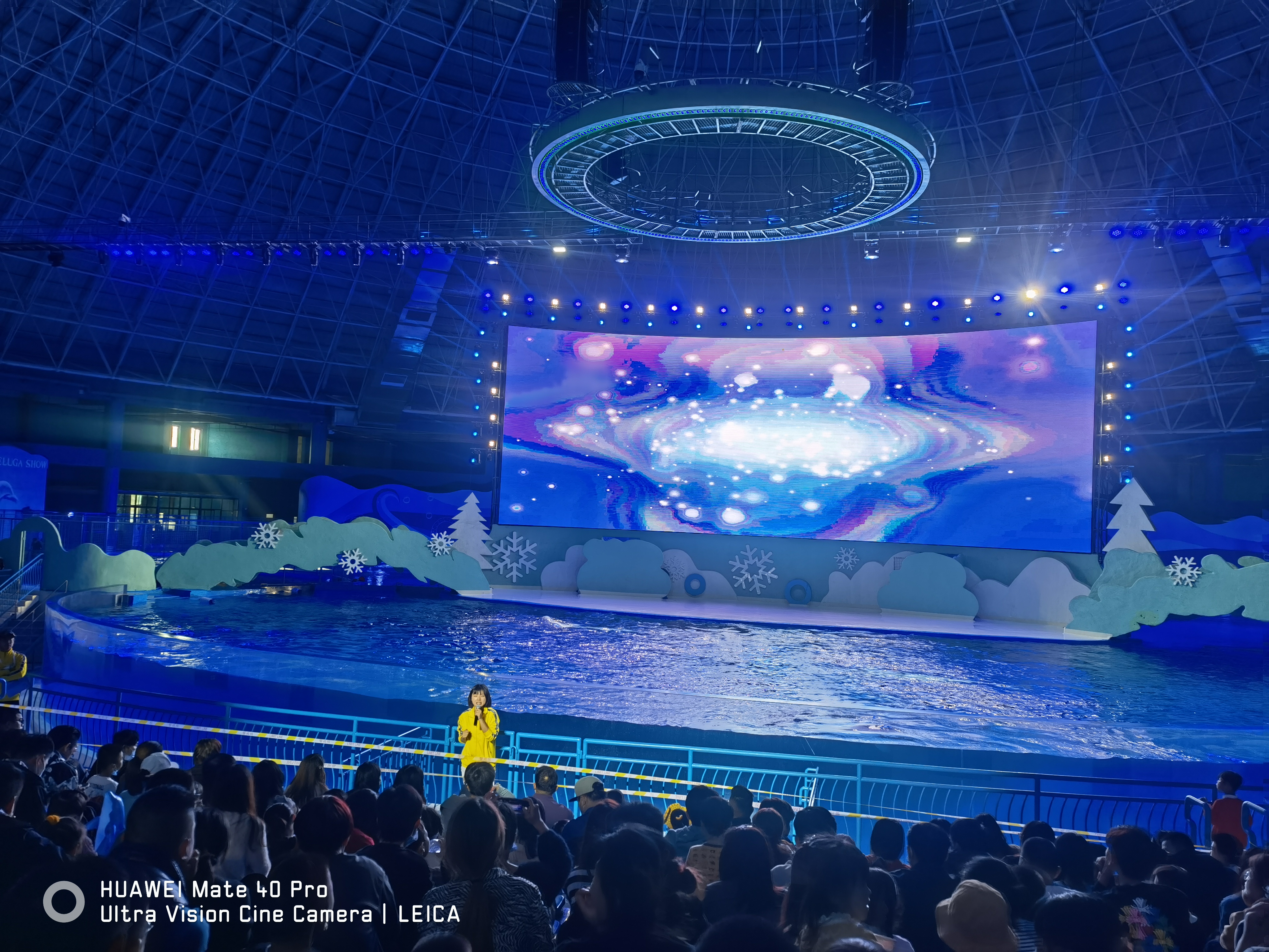 Aquários acrílicos em oceanários: aplicações e cuidados para personalizar tanques grandes