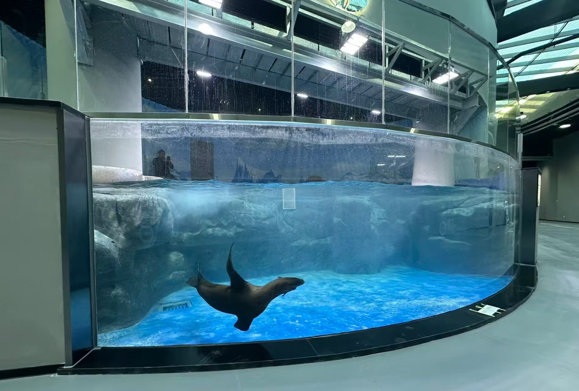 Aquário Aqualife construído pela Leyu Acrílico Aquarium Factory - Leyu