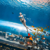 360 Aquarium Tunnel Polar Ocean World, Leyu personalizado profissional - Leyu