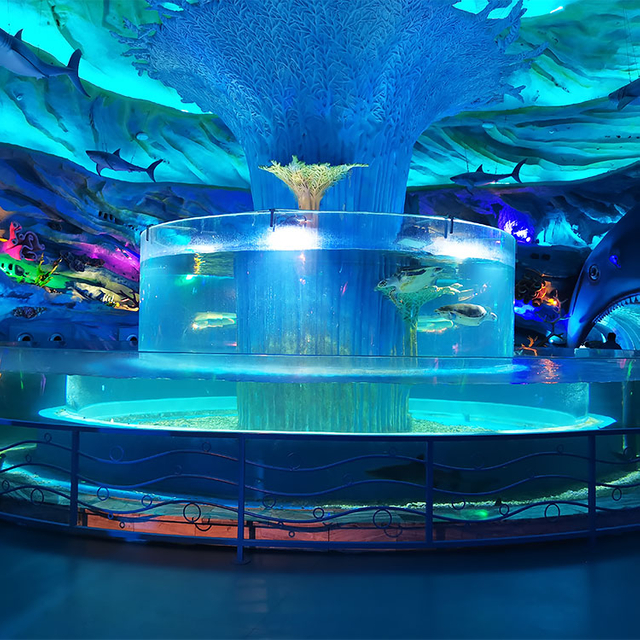 Fabricante e fornecedor de folhas acrílicas de curva personalizada - Fábrica de produtos de folha acrílica Leyu
