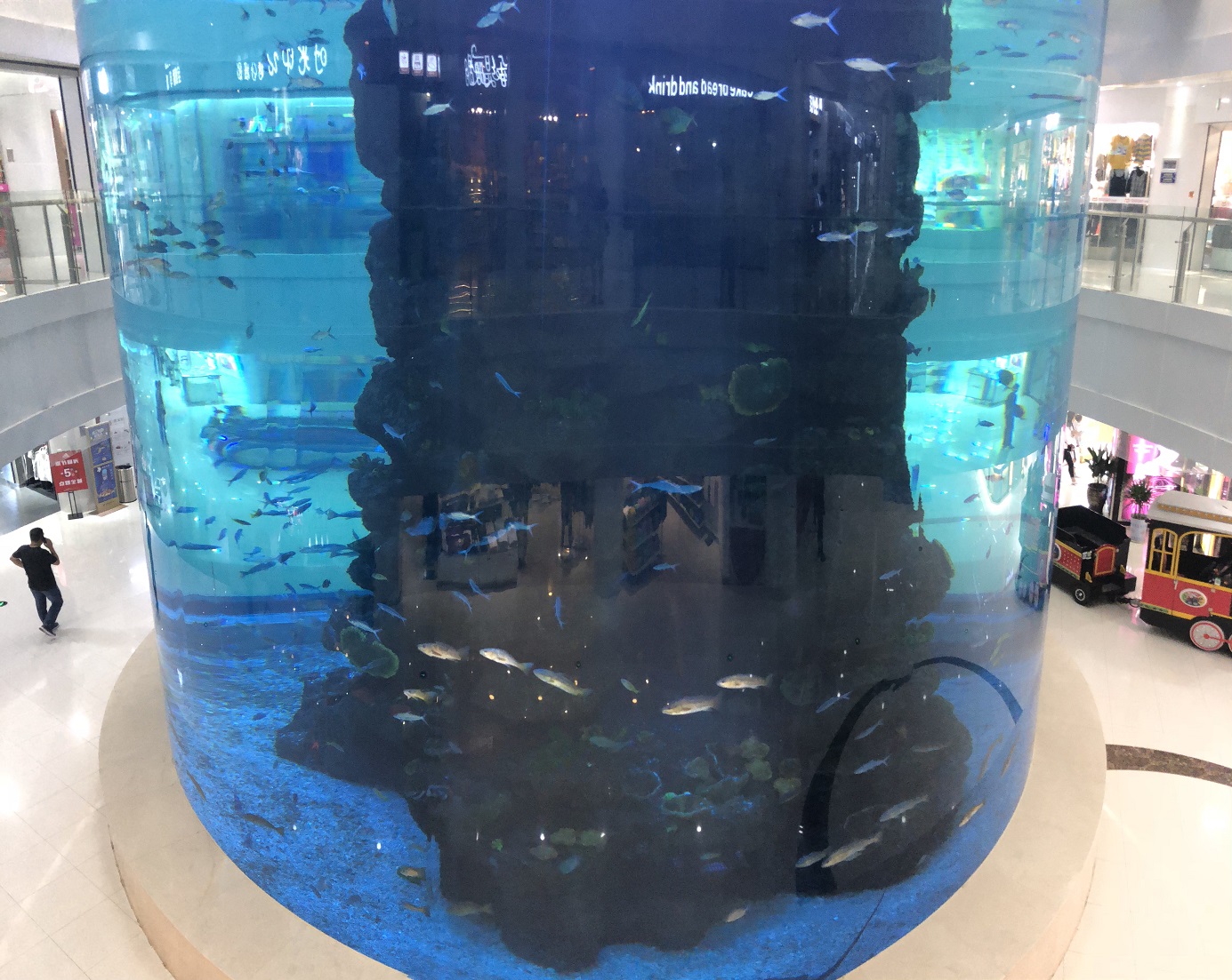 Grande aquário ornamental - produzido e instalado pela LEYU Acrílico