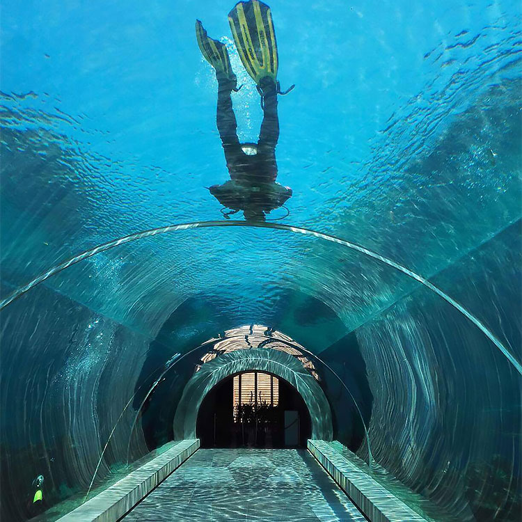 Construção de túnel de aquário