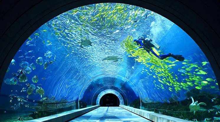 um túnel de aquário