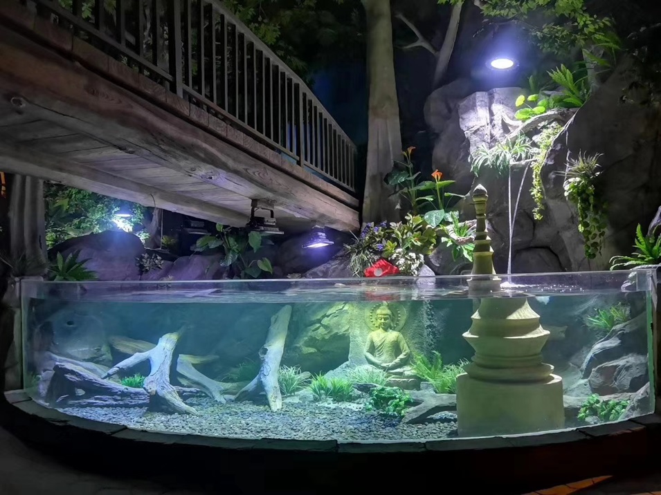 Aquários de acrílico: mais fortes, mais leves e mais duráveis ​​- Leyu