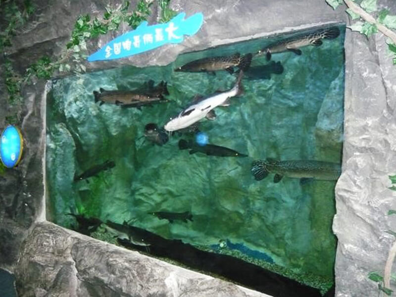Mundo Subaquático Kamikaze de Ningbo