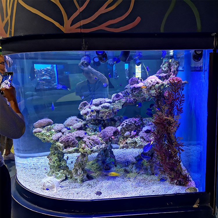 Grande redondo acrílico tubarão aquário livre tanque de peixes Leyu fábrica de acrílico personaliza para você - LEYU
