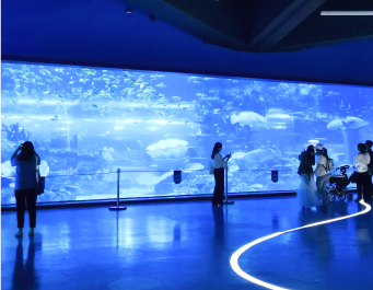 Janela acr&iacute;lica