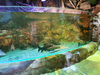 Aquário Aqualife construído pela Leyu Acrílico Aquarium Factory - Leyu
