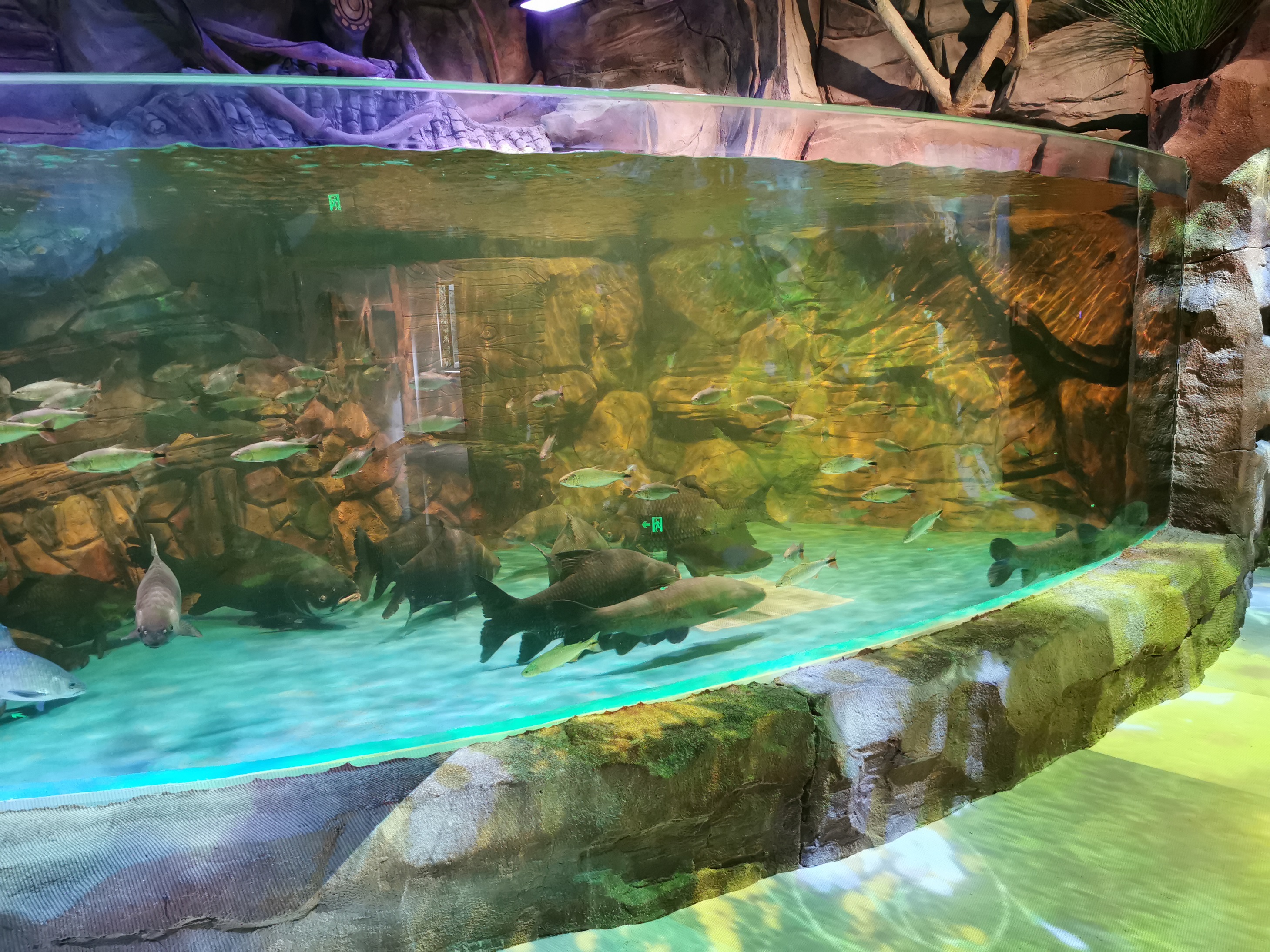 Aquário Aqualife construído pela Leyu Acrílico Aquarium Factory - Leyu