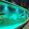 Fábrica de produtos de folha acrílica personalizada para aquário Oceanarium-Leyu 