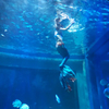 Acrílico é o material preferido para construção de aquários Deixe você sentir o mistério e o encanto do oceano - Piscinas de acrílico Leyu à venda