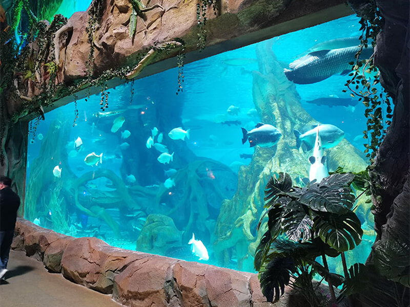Parque Oceânico Polar Xuzhou Oulebao