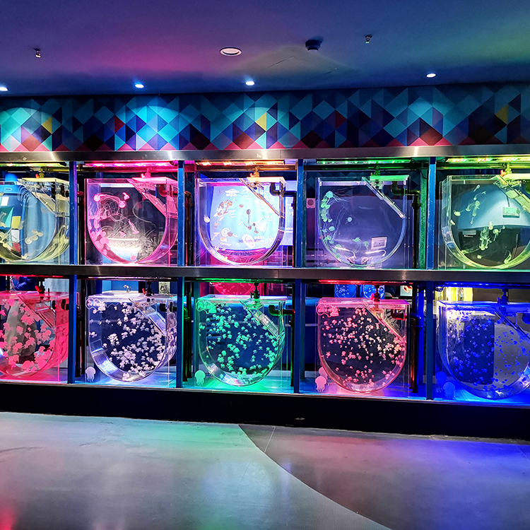 Kits de aquário de águas-vivas Leyu é especializada em personalizar tanques de águas-vivas para você - Leyu
