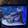 Como limpar janelas de acrílico na fábrica de acrílico Ocean Park-leyu