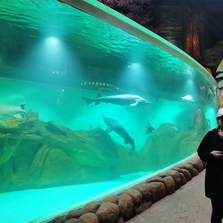 Fábrica de produtos de folha acrílica personalizada para aquário Oceanarium-Leyu 