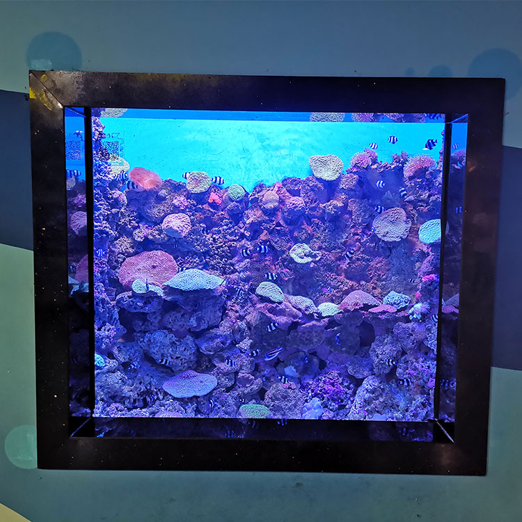 Instalação de design de aquário de especialistas em aquários - LEYU