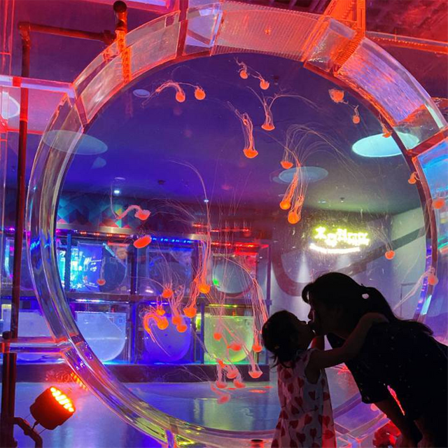 Aquário de medusas Posso ter medusas no meu aquário - Leyu